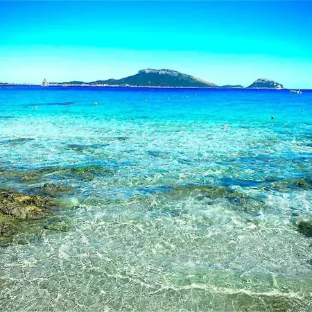 In Sardinia With Sea View Apartment